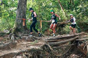 BIB: 
                            <button type="button" onclick="openModal(27556426)" class="btn btn-primary btn-sm float-right btn-popup" data-toggle="modal" data-target=".modal-high-quality">
                        <i class="fas fa-shopping-cart"></i> Add to Cart
                    </button>
                                            <button type="button" onclick="isThisMe(27556426, true)" class="btn btn-success btn-sm float-right btn-popup btn-isme hidden" data-toggle="tooltip" data-placement="bottom" title="นี่คือรูปของคุณใช่ไหม คลิกที่นี่เพื่อเอาเข้าอัลบั้ม">
                        <i class="fas fa-plus"></i> Add to album
                    </button>
                    <button type="button" onclick="isThisMe(27556426, false)" class="btn btn-warning btn-sm float-right btn-popup btn-isnotme hidden">
                        <i class="fas fa-ban"></i> Remove from album
                    </button>